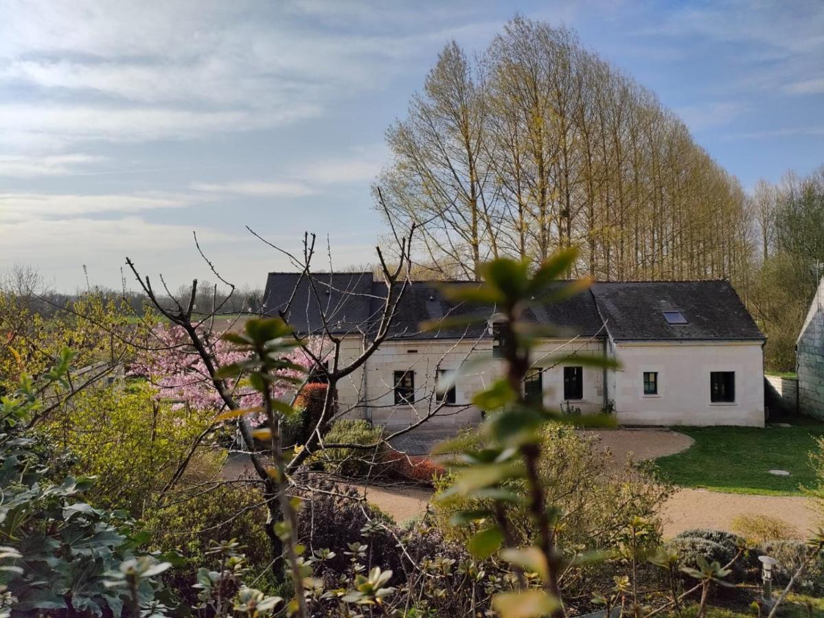 Villa Les Logis d Ussé à Rigny-Ussé Extérieur photo